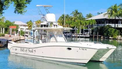 33' World Cat 2006 Yacht For Sale